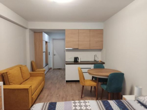 Evdo Apartments F4 Snow Studio